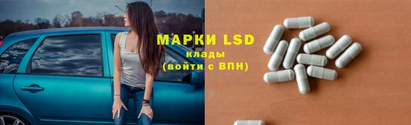 ГАЛЛЮЦИНОГЕННЫЕ ГРИБЫ Надым
