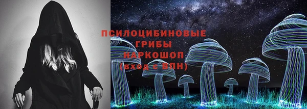 ГАЛЛЮЦИНОГЕННЫЕ ГРИБЫ Надым