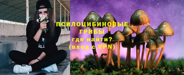 ГАЛЛЮЦИНОГЕННЫЕ ГРИБЫ Надым